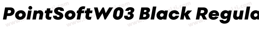 PointSoftW03 Black Regular字体转换